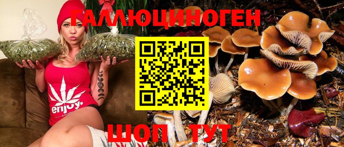 Псилоцибиновые грибы Psilocybe Воскресенск